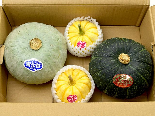 かぼちゃ オブジェ かぼちゃ（赤白）｜草間彌生 アートグッズ公式オンラインストア