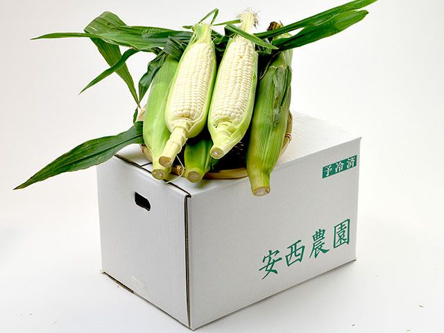 堀農園・久留米とうもろこし（品種：ホワイトショコラ） | 安心堂 食の