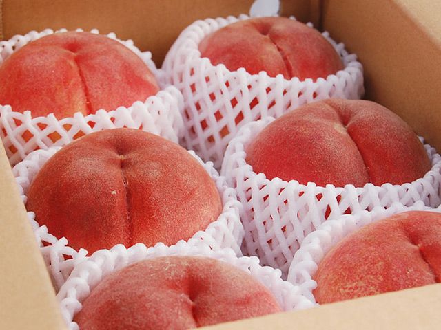 菱沼農園・福島の桃【黄金桃】 | 安心堂 食のSELECTネットショップ