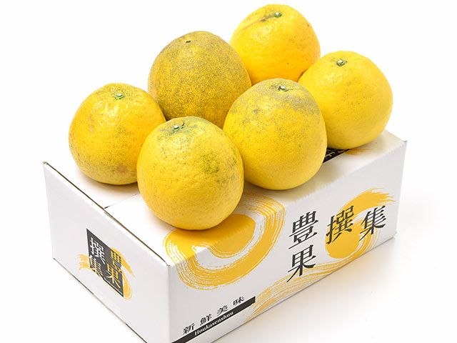 清五郎農園・宇和ゴールド（河内晩柑）【家庭用】約10kg（Sサイズ