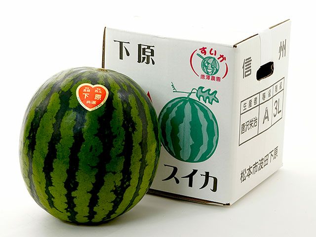 唐澤農園・下原すいか大玉（3L）8～9kg | 安心堂 食のSELECTネットショップ