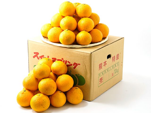 中田果樹園・スイートスプリング【家庭用】10kg（36～50玉） | 安心堂