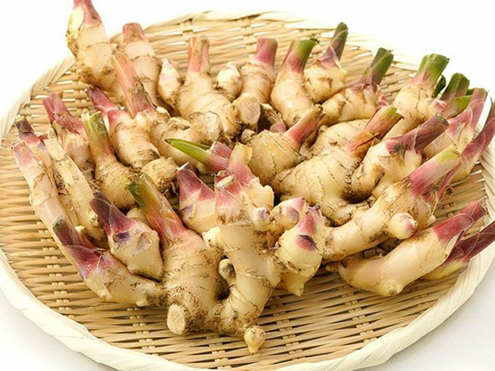 あすなろファーム・土付き無農薬新生姜 1kg | 安心堂 食のSELECTネット