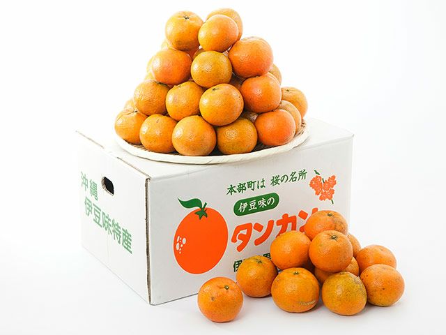 渡嘉敷農園・沖縄産たんかん（約9kg） | 安心堂 食のSELECTネットショップ