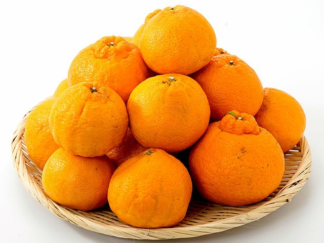 でこぽん・不知火 | 安心堂 食のSELECTネットショップ