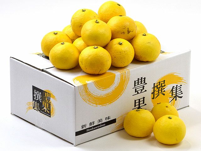 自然農みかん10kg 8年目 農薬肥料不使用 自然農法 海乃神自然農園 自然農みかん10kg 3〜5年目 農薬肥料不使用 自然農法 海乃神自然農園の