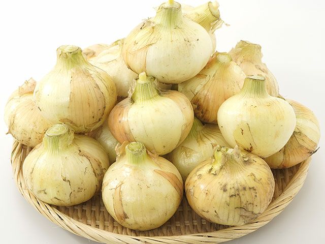 のらファーム・農薬不使用 土佐にんにく | 安心堂 食のSELECTネット