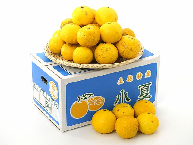 大矢野有機農産物供給センター・天草産パール柑【中玉】（9kg）20玉