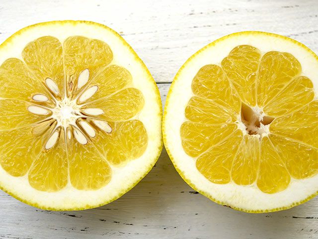 中河農園・愛南ゴールド（河内晩柑）10kg | 安心堂 食のSELECTネット
