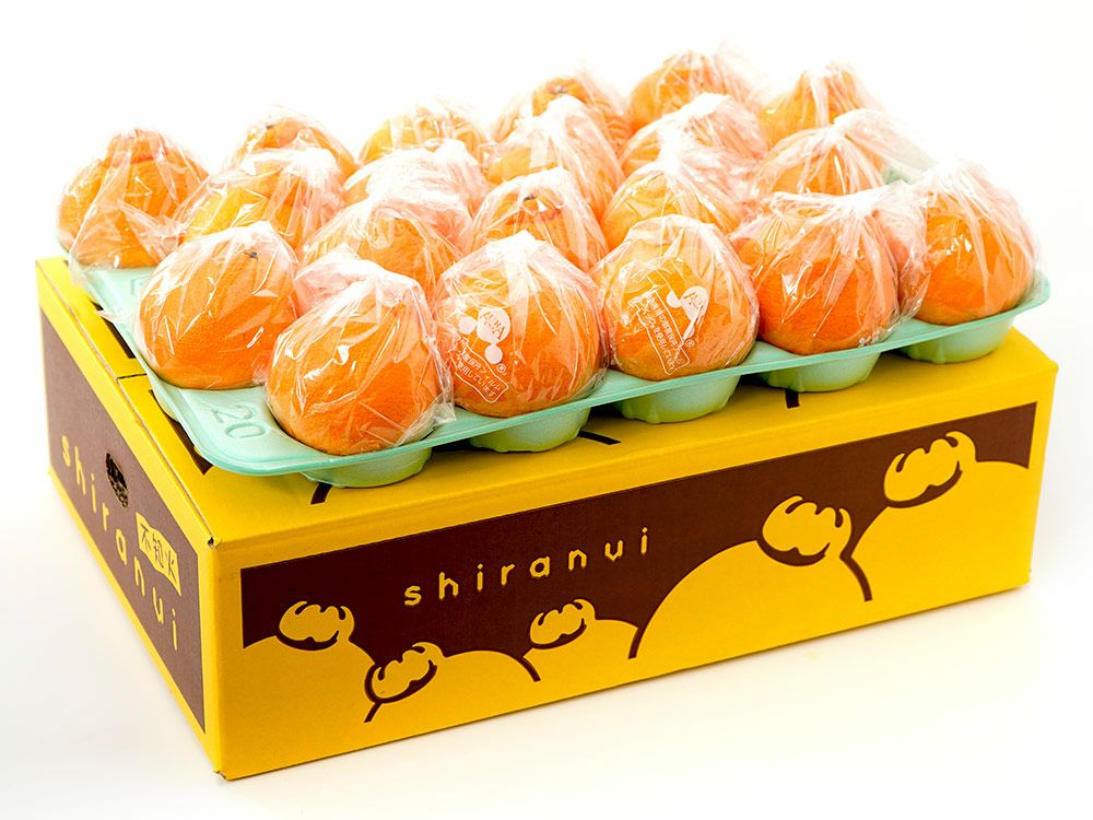 でこぽん・不知火 | 安心堂 食のSELECTネットショップ