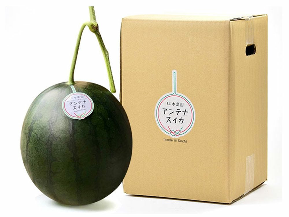 野口農園・柳蓮田蓮根【夏】（4kg） | 安心堂 食のSELECTネットショップ