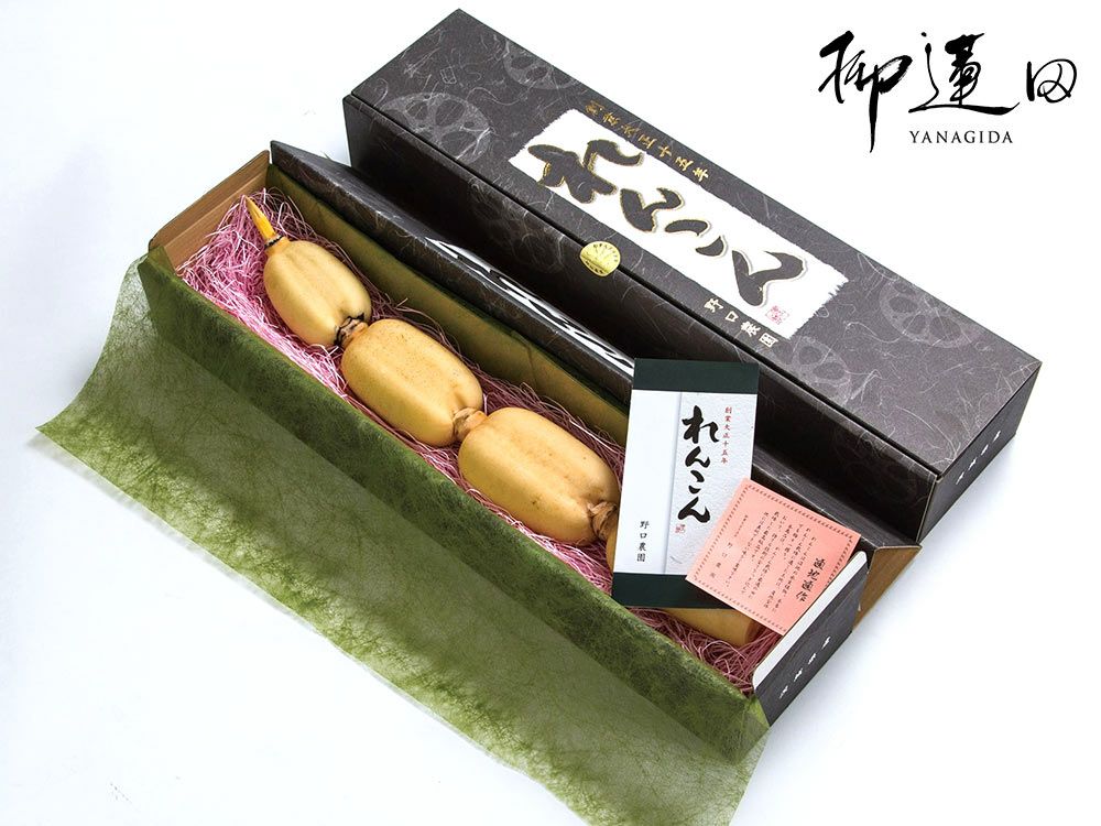 野口農園・柳蓮田蓮根 鍬初（1本） | 安心堂 食のSELECTネットショップ