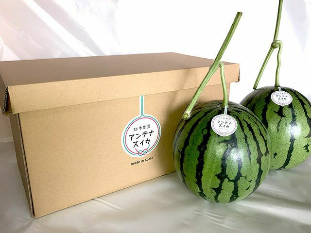 すいか | 安心堂 食のSELECTネットショップ