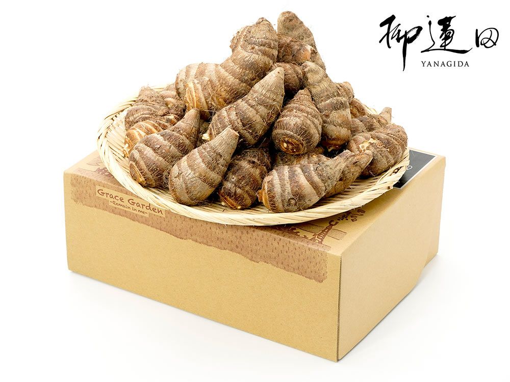 添田農園・柳蓮田海老芋（3kg） | 安心堂 食のSELECTネットショップ