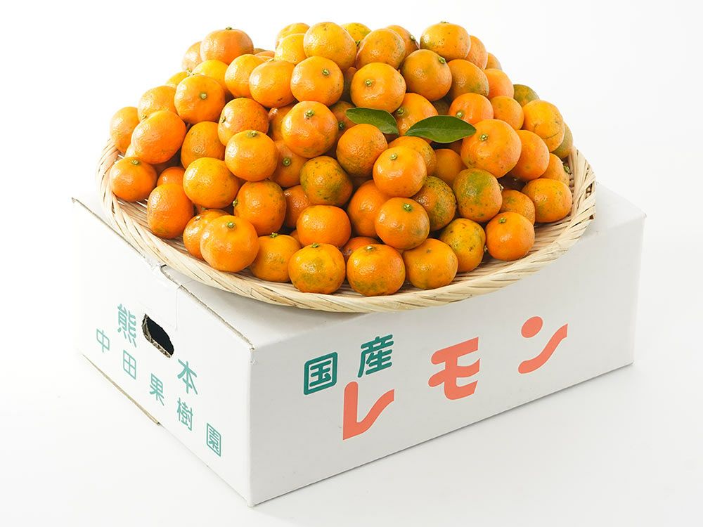 中田果樹園・完熟シークワーサー（3kg） | 安心堂 食のSELECTネット