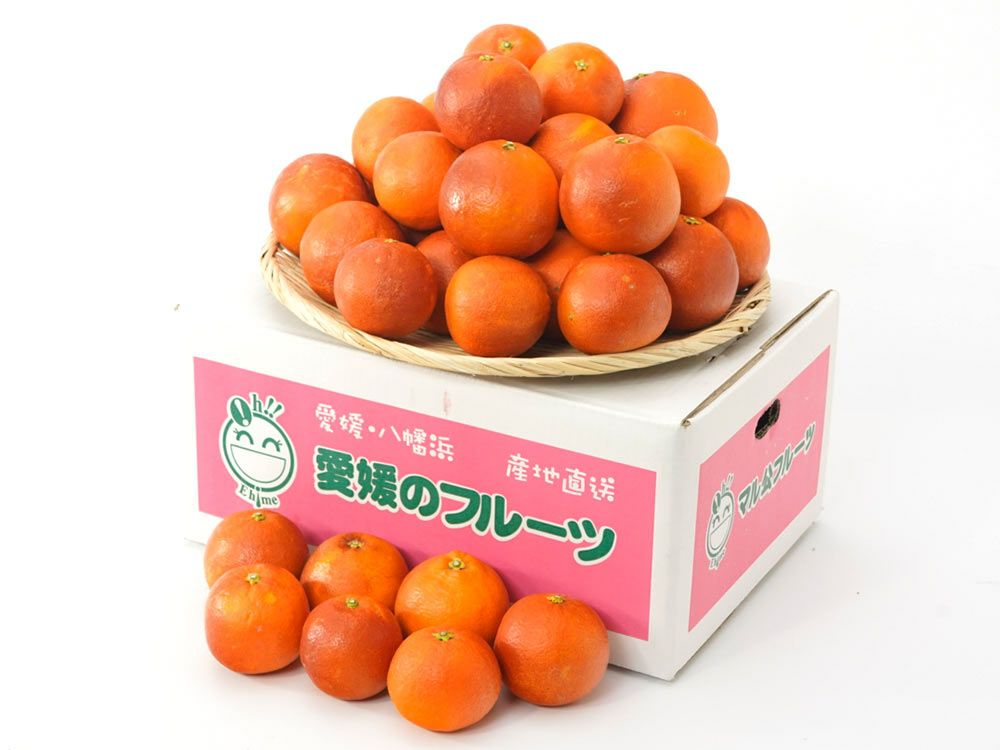 タロッコオレンジ | 安心堂 食のSELECTネットショップ