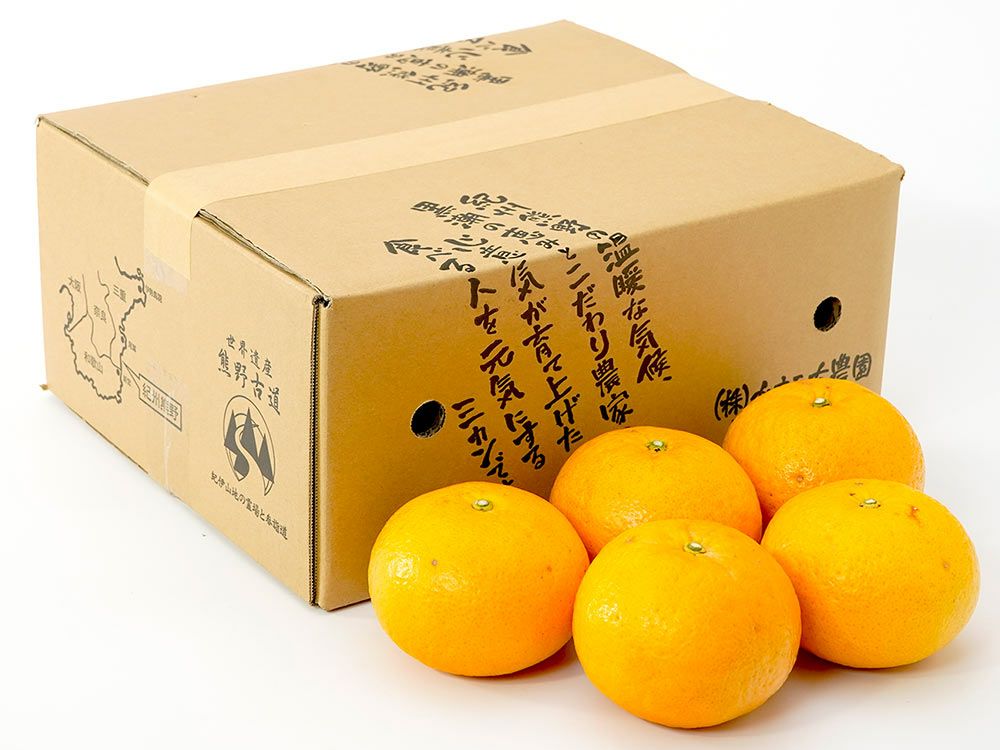 ヤマカ農園・木成り完熟八朔 5kg | 安心堂 食のSELECTネットショップ