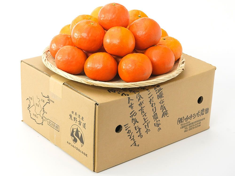 【ペガサスさま　専用】ばあばが育てた完熟新高梨12個＋完熟栗2キロ　セット 高糖度】プリっと果肉！和歌山の完熟八朔(はっさく)8個入り～ | 5STAR