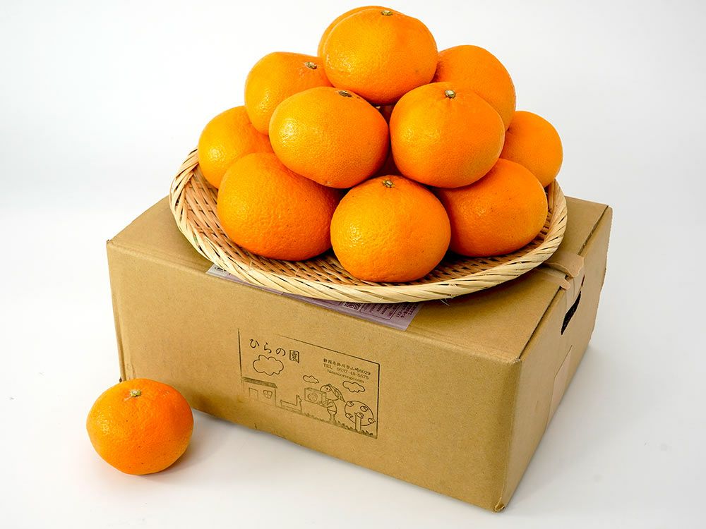 白鳥農園・伊豆産ニューサマーオレンジ（5kg） | 安心堂 食のSELECT