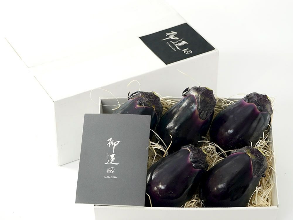 野口農園・柳蓮田蓮根（1kg） | 安心堂 食のSELECTネットショップ