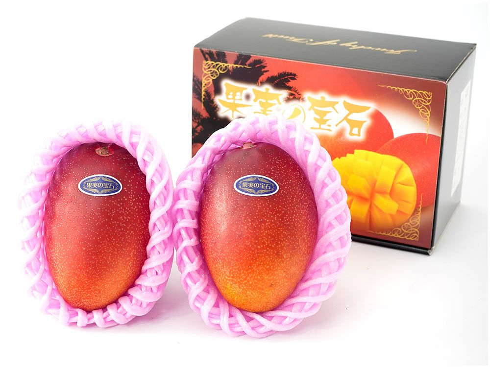カワノ農園・太陽マンゴー 果実の宝石 2Lサイズ（約400g）×2玉 | 安心