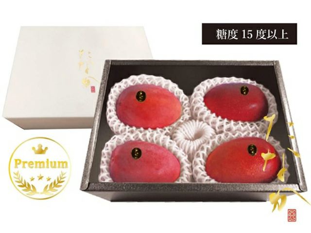 柿　マンゴードリアン　2点セット ギフト秀品】アーウィンマンゴー2kg（4～6玉） | 山城フルーツ園 その他