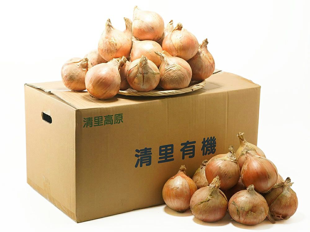 ヤマカ農園・木成り完熟八朔 5kg | 安心堂 食のSELECTネットショップ