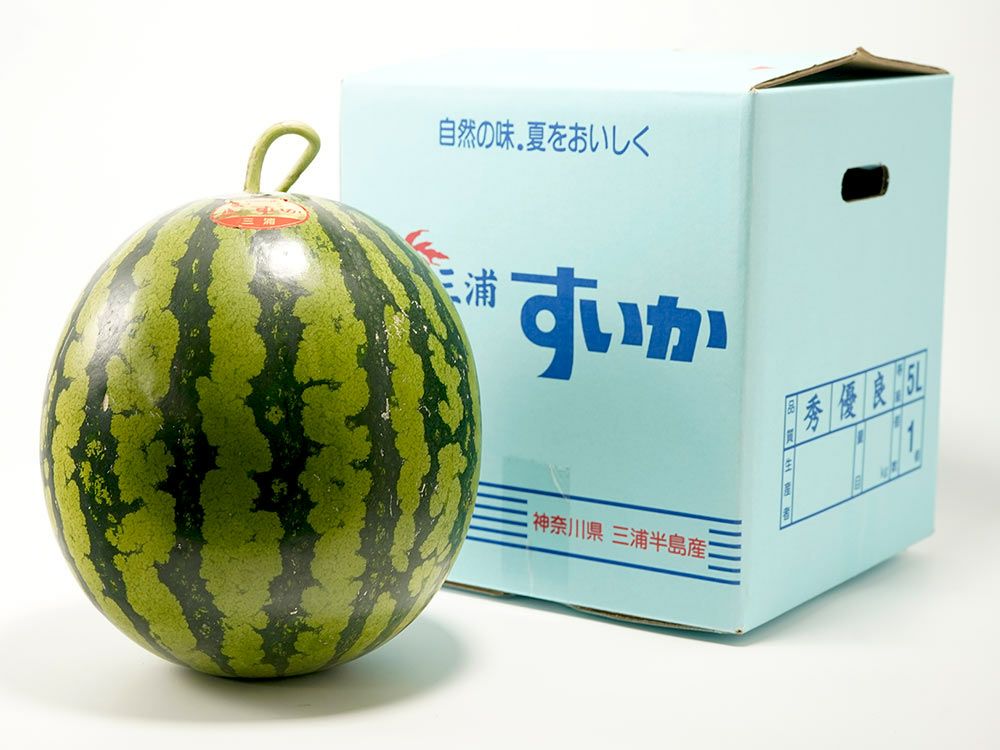 山本農園・八街すいか3L（約8kg） | 安心堂 食のSELECTネットショップ