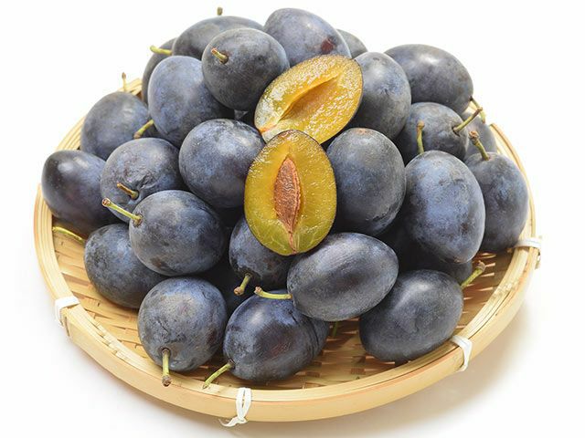 ノースランドペペガーデン（無農薬シュガープルーン） | 安心堂 食の