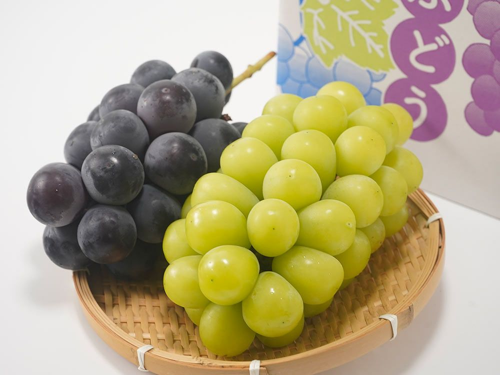 ごとう農園・山形おきたま産 完熟ぶどう2色セット（約1.2kg） | 安心堂