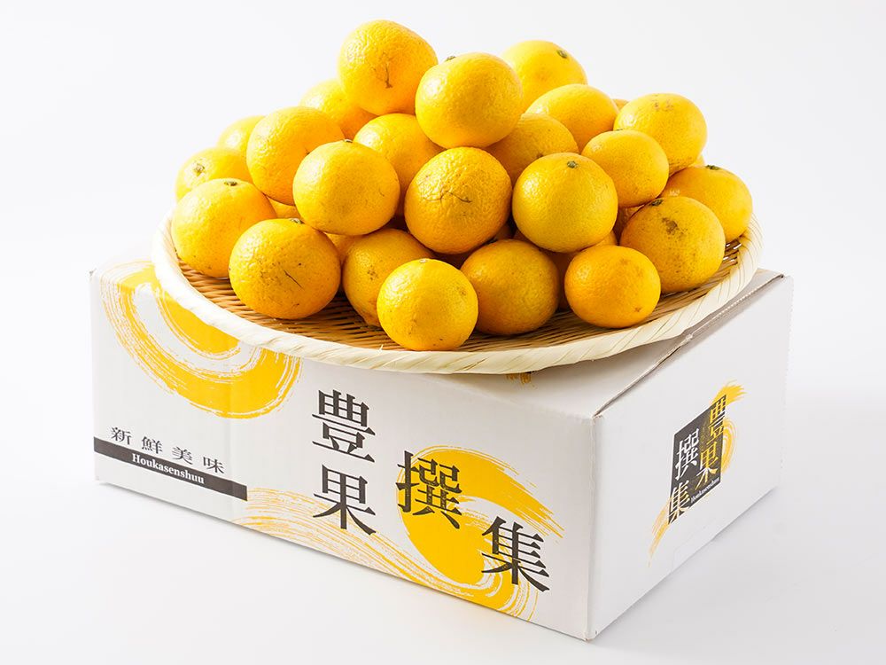 伊藤農園・湘南ゴールド（3kg） | 安心堂 食のSELECTネットショップ