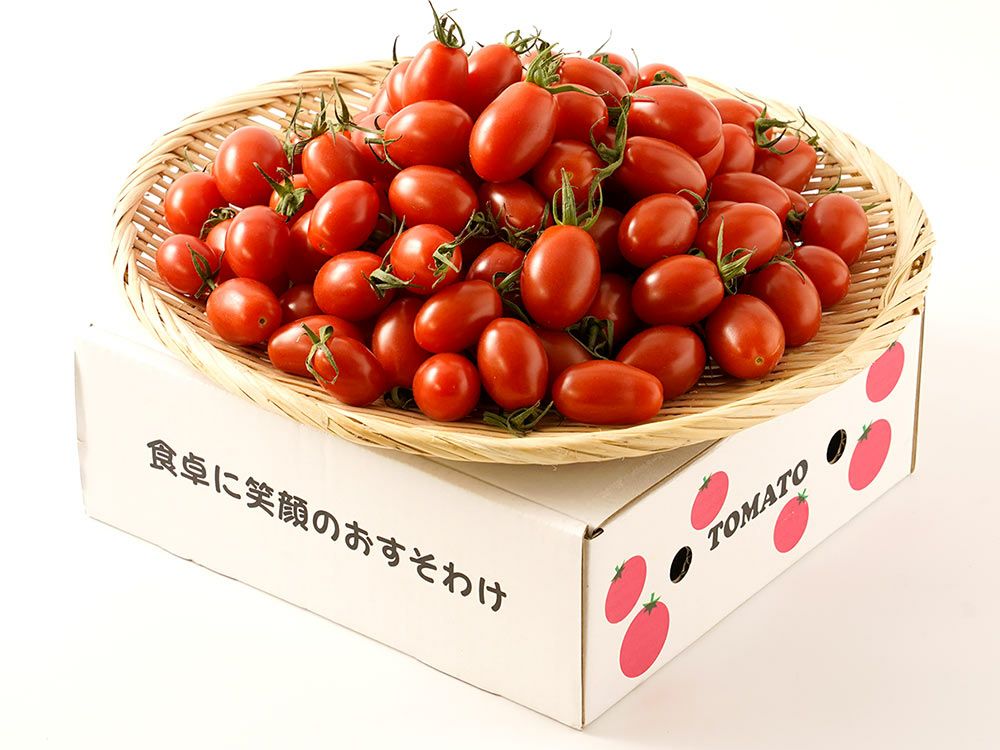 VegeRise・トマランタン【完熟ミニトマト】（2kg） | 安心堂 食の