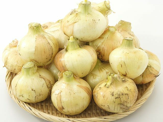 のらファーム・農薬不使用 土佐にんにく | 安心堂 食のSELECTネット