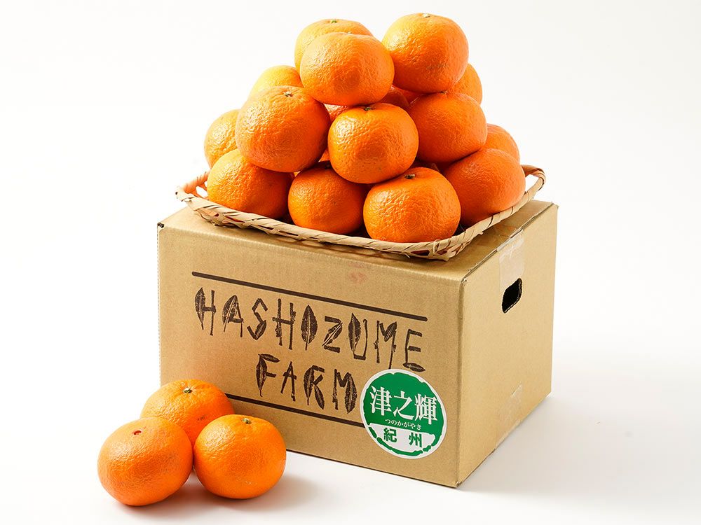 橋詰農園・津之輝（3kg） | 安心堂 食のSELECTネットショップ