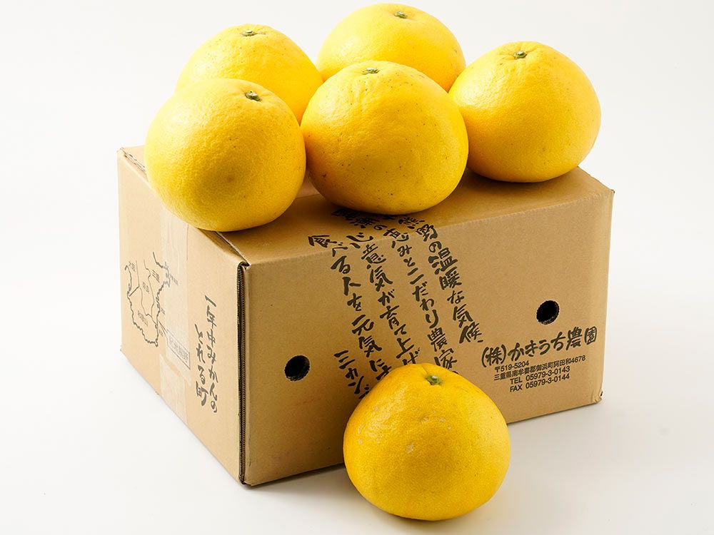 ヤマカ農園・木成り完熟八朔 10kg | 安心堂 食のSELECTネットショップ
