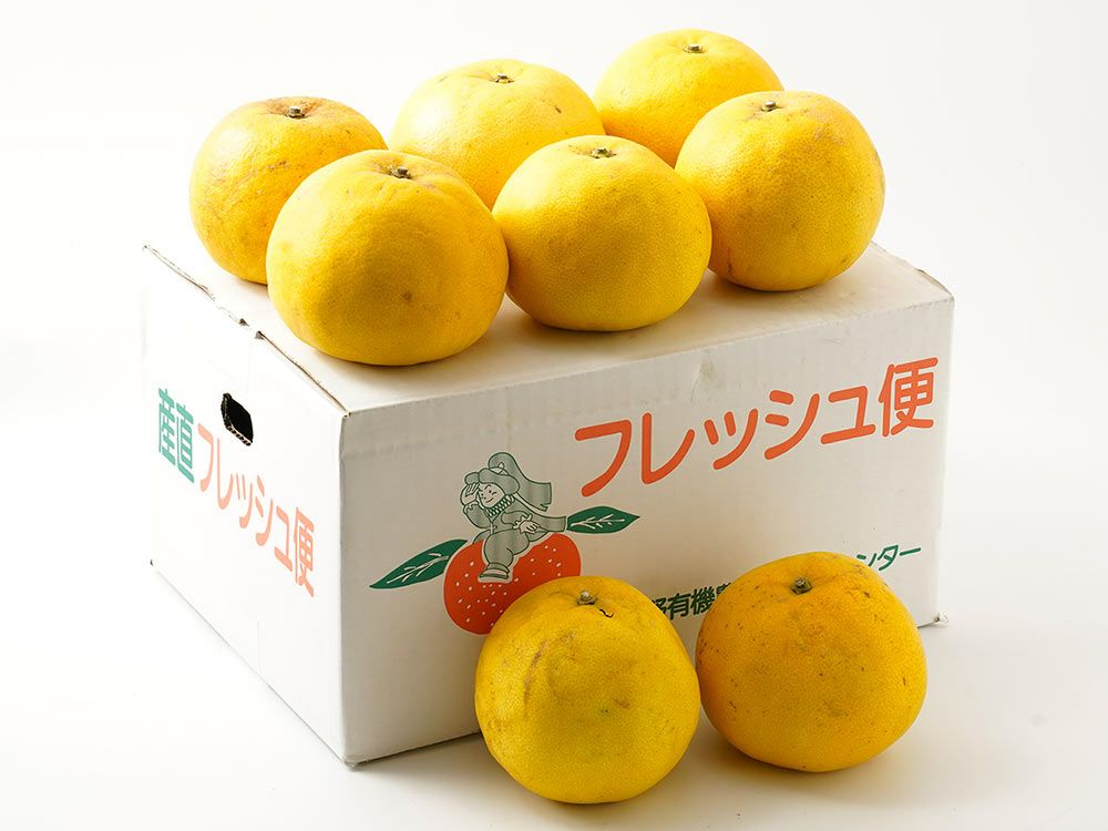 佐藤農場・有機栽培ぽんかん（10kg） | 安心堂 食のSELECTネットショップ