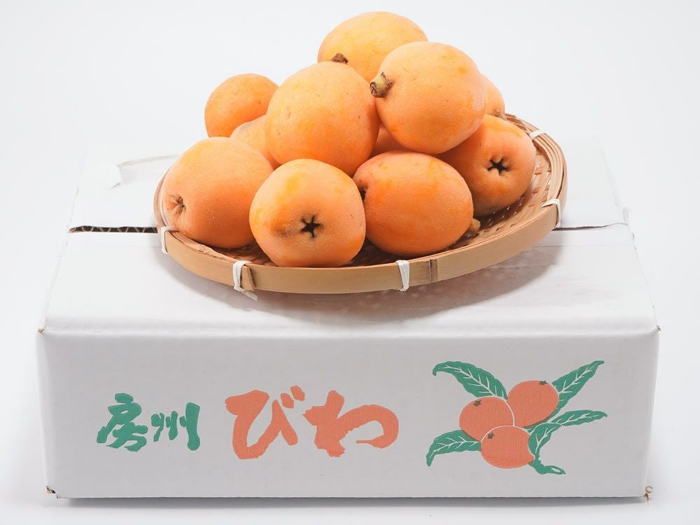 あすなろファーム・小田原曽我の無農薬 黄熟梅【十郎】 | 安心堂 食の
