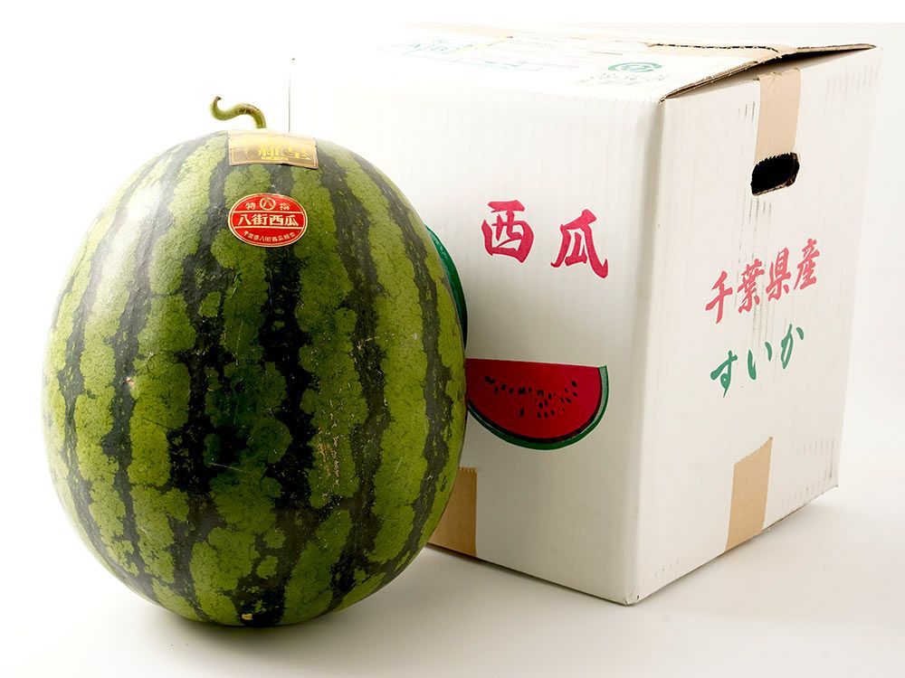 山本農園・八街すいか【金色羅皇】（約8kg） | 安心堂 食のSELECT
