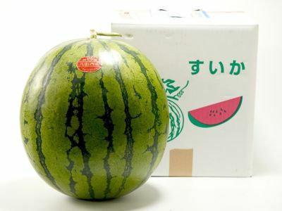 スイカ★TechDeckMini 3個セット 山本農園・八街すいか3L（約8kg） | 安心堂 食のSELECTネットショップ