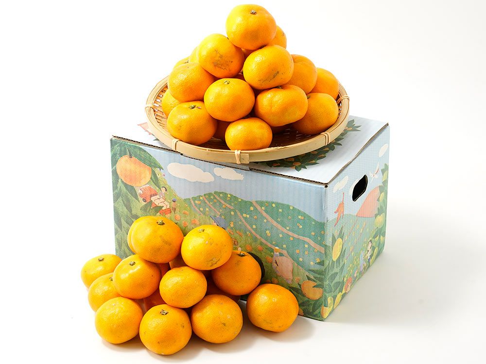 みかんのみっちゃん農園・有田みかん由良早生 3kg | 安心堂 食のSELECT みかんのみっちゃん農園・有田みかん由良早生 3kg | 安心堂 食のSELECT