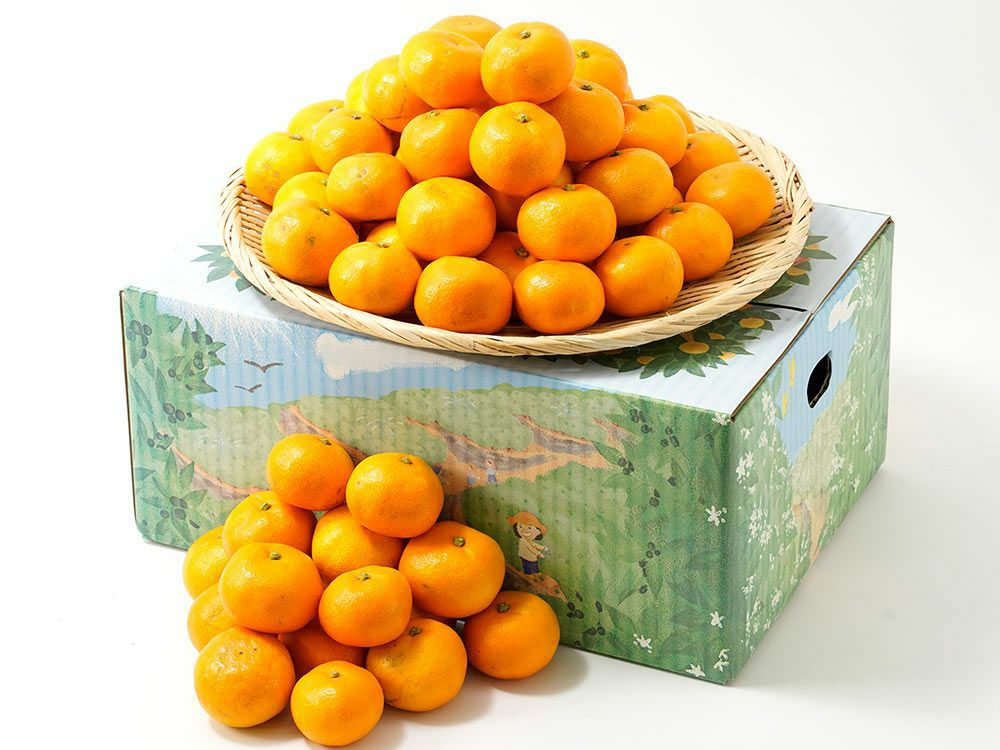 みかんです。 みかんのみっちゃん農園・有田みかん早生 5kg | 安心堂 食のSELECT