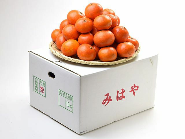 イベント中　和田果樹園の果物　10kg 中田果樹園・みはや【家庭用】10kg（70～80玉） | 安心堂 食のSELECT