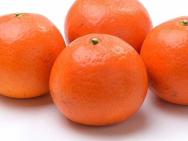 中田果樹園・みはや【贈答用】10kg（70～80玉） | 安心堂 食のSELECT