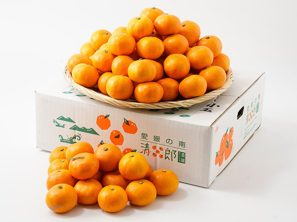 清五郎農園・温州みかん（2Sサイズ） | 安心堂 食のSELECTネットショップ