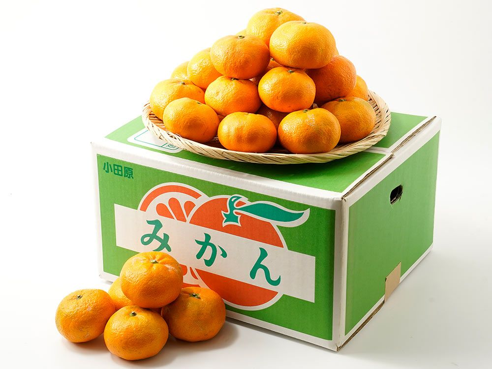 【CPC-LSF】みかん SU－10】温州みかん約10kg（秀S～L）JAおちいまばり