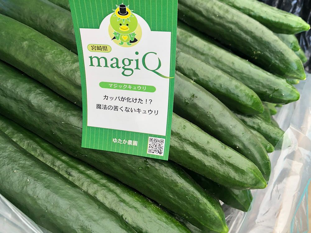ゆたか農園（マジックきゅうり） | 安心堂 食のSELECTネットショップ