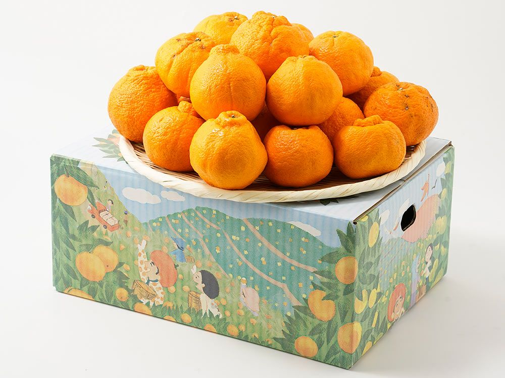 でこぽん・不知火 | 安心堂 食のSELECTネットショップ