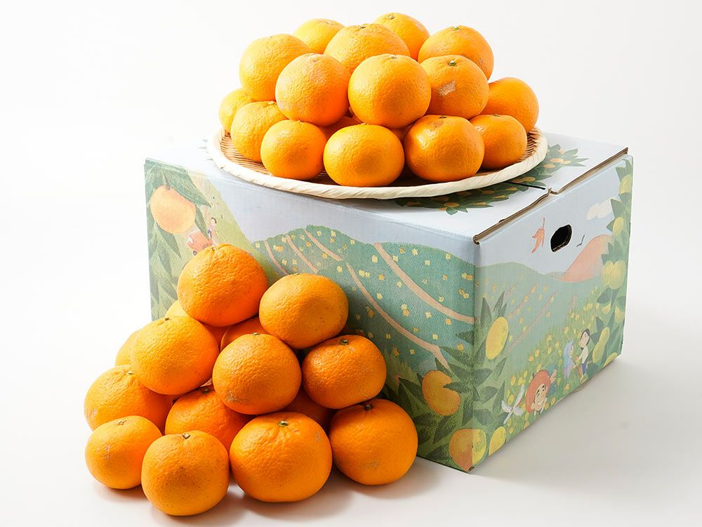 自然農法清見オレンジ【B品】5kg | 安心堂 食のSELECTネットショップ