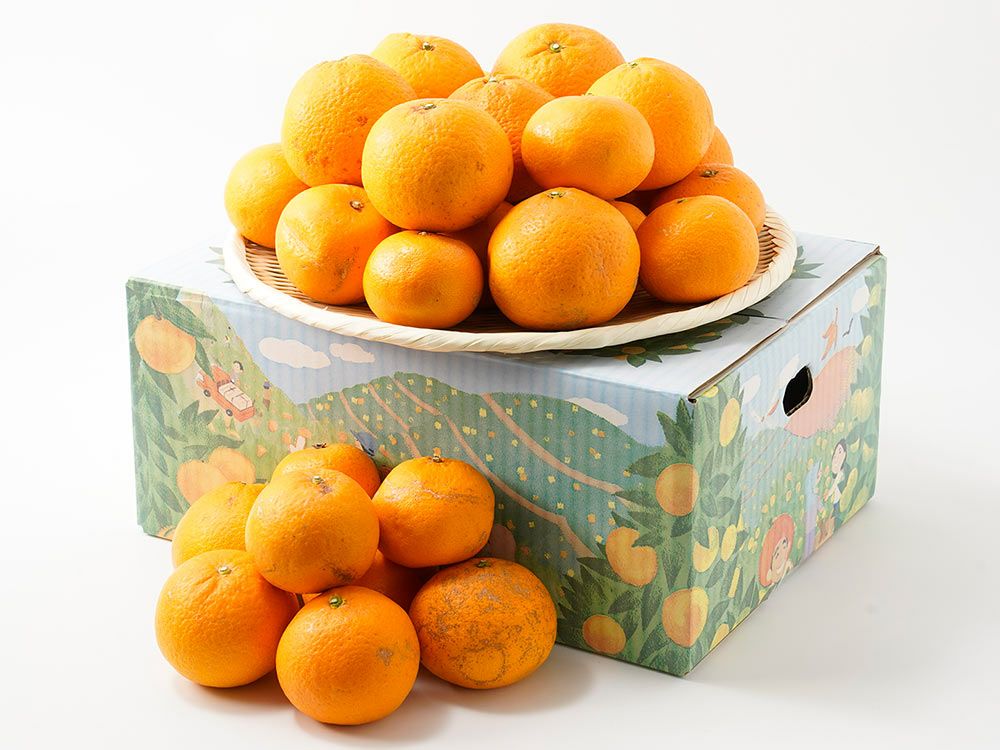 八木下農園・湘南ゴールド3kg（30～45玉） | 安心堂 食のSELECTネット