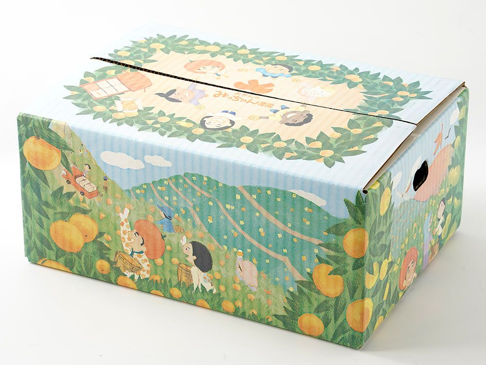 みかんのみっちゃん農園・清見オレンジ（5kg）20～30玉入り | 安心堂